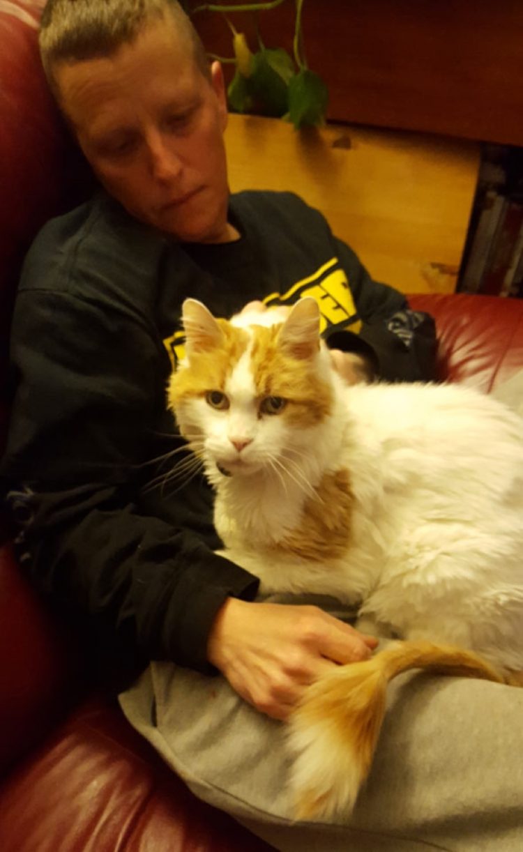 TD.Elderly Cat Abandoned, Found Struggling for Help Until Exhausted