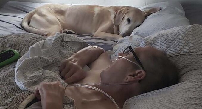 TD.Man and His Dog, Lifelong Bedfellows, Lose Their Lives Just an Hour Apart